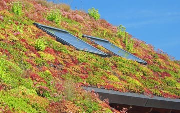 Anlaby living roof systems