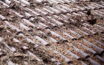 Anlaby roof cleaning companies